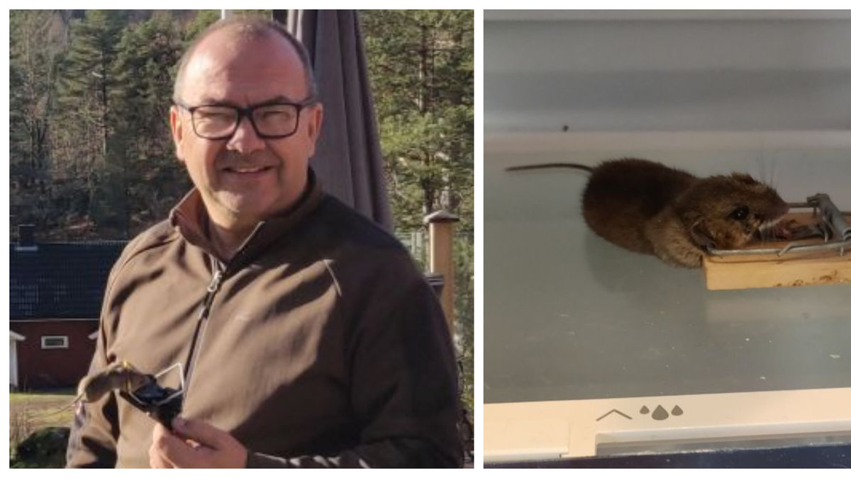 Paal Bye Johansen fångade 20 råttor – på bara en dag.